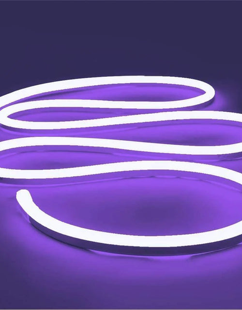 Load image into Gallery viewer, 1M 2M 3M 5M 12V Flexible Sign Neon Lights Silicone Tube LED Strip Waterproof USA
