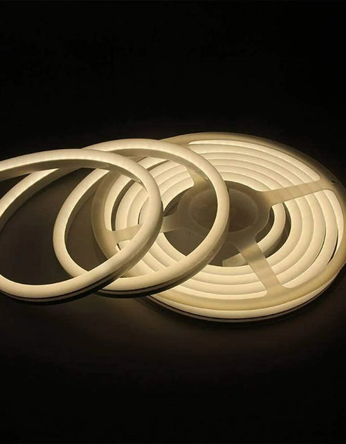 Load image into Gallery viewer, 1M 2M 3M 5M 12V Flexible Sign Neon Lights Silicone Tube LED Strip Waterproof USA
