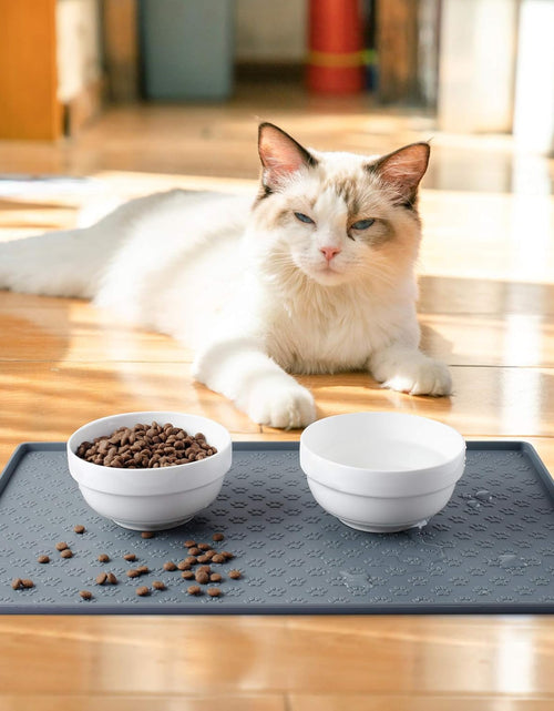 Load image into Gallery viewer, Cat &amp; Dog Food Mat, Sillicone Waterproof Pet Bowl Placement Tray to Stop Food Spills and Water Messes Out to Floor (M: 18.9X11.8In, Grey)
