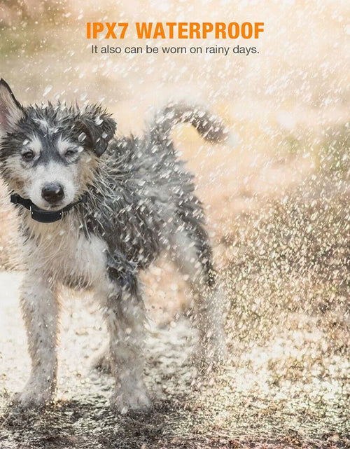 Load image into Gallery viewer, Automatic anti Bark Barking Dog Shock Control Collar Device Large Medium Small
