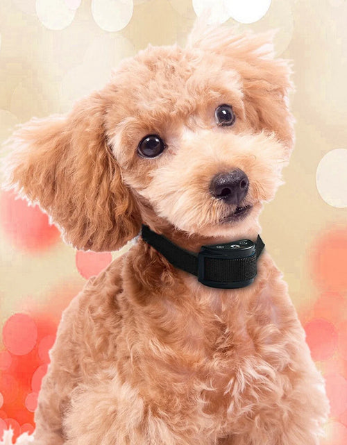 Load image into Gallery viewer, Automatic anti Bark Barking Dog Shock Control Collar Device Large Medium Small

